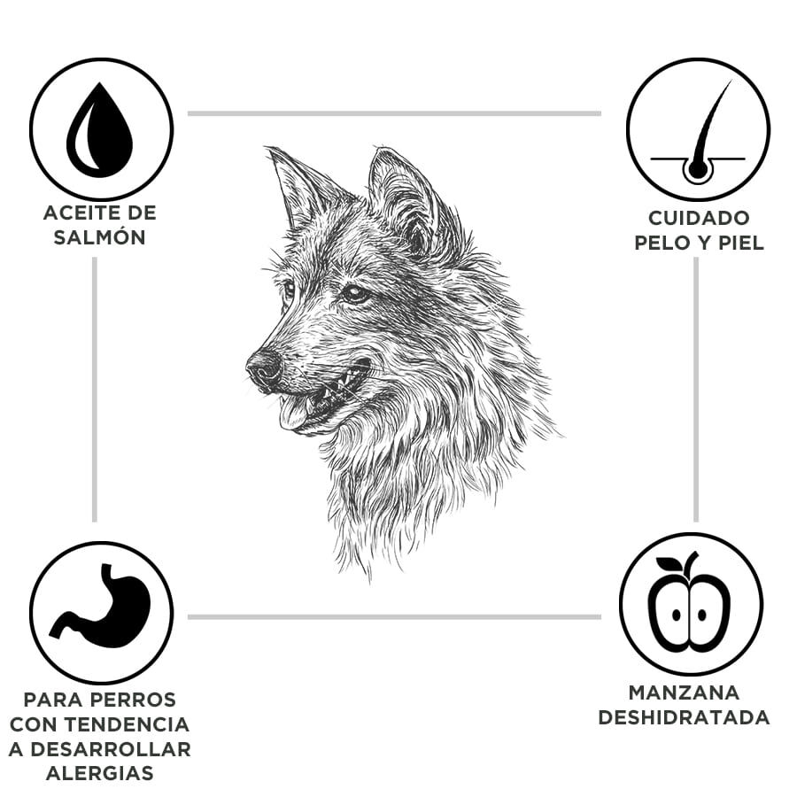 15 kg Criadores Adulto Cordero y Arroz pienso para perros de razas mediana y grande, , large Imagen numero 3