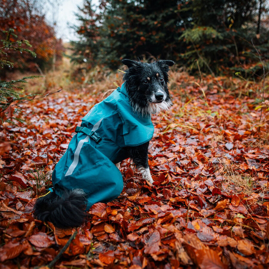 Non-stop Dogwear Chubasquero Impermeable Azul y Verde para perros, , large Imagen numero 2