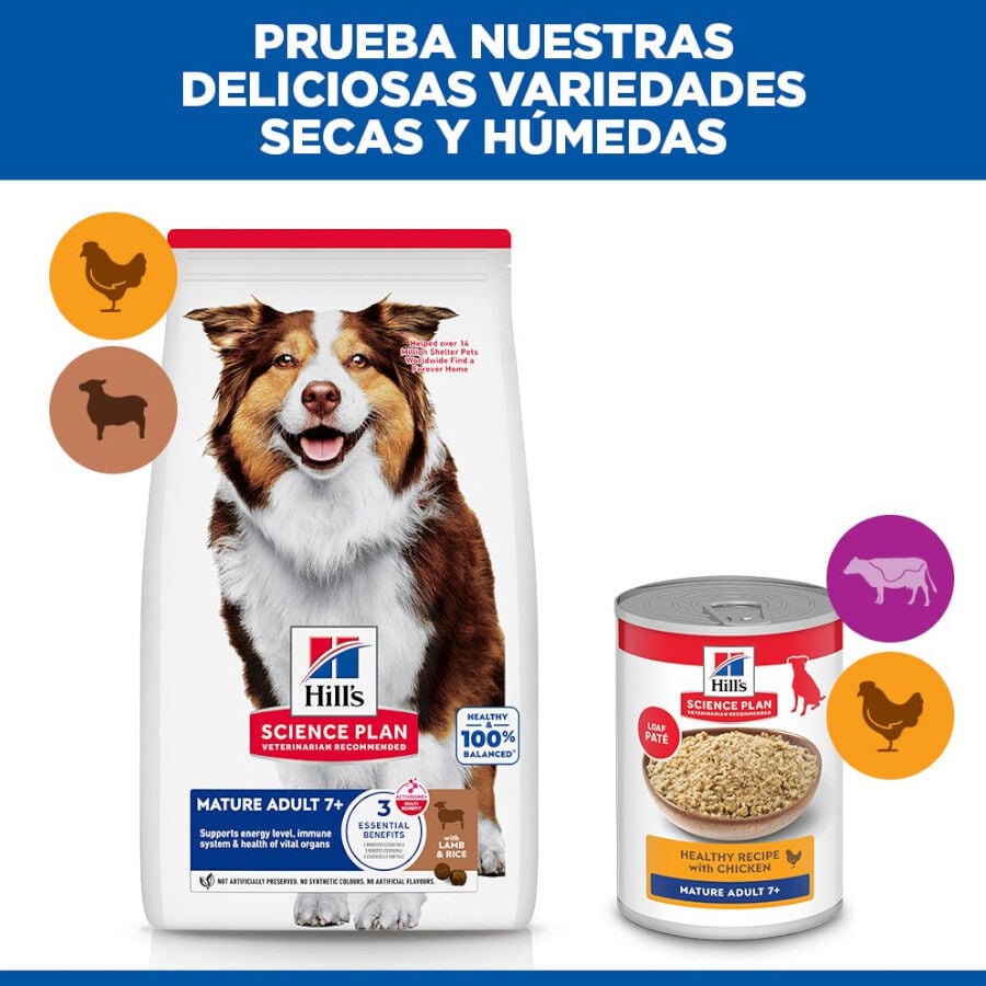 14 kg Hill's Science Plan Mature Adult Medium Cordero pienso para perros, , large indicador imagen numero 8