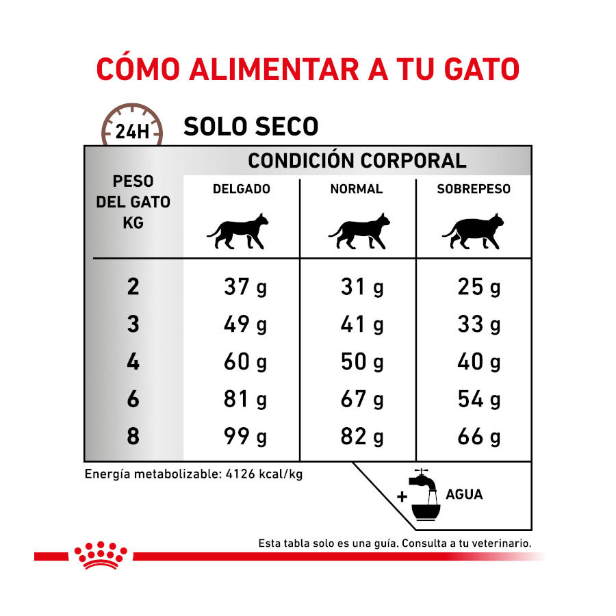 4 kg Royal Canin Veterinary Hepatic pienso para gatos, , large Imagen numero 7
