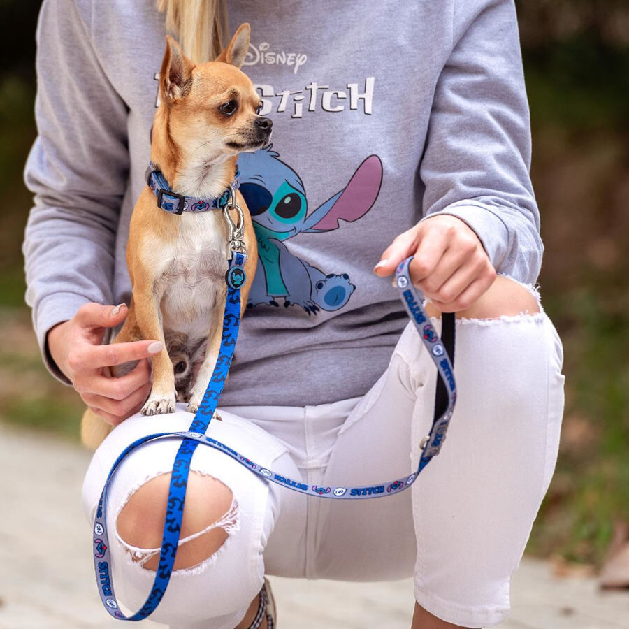 Disney Stitch Premium collar para perros, , large Imagen numero 3