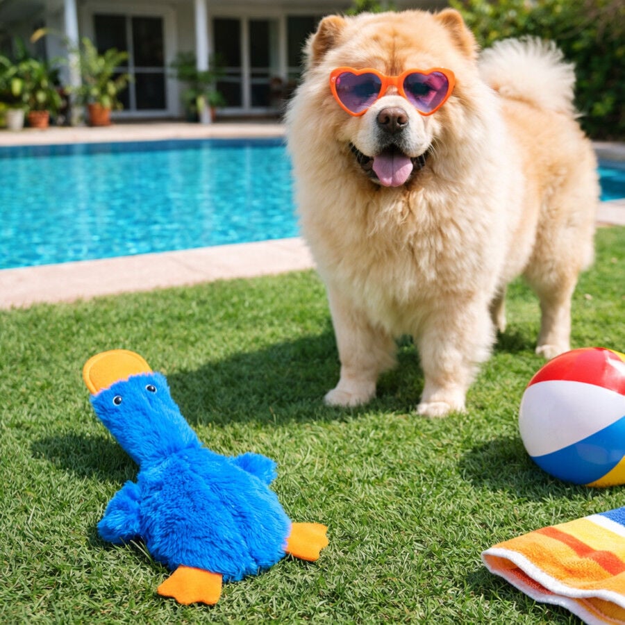 Summer Vibes Pato Dolce Vita Peluche Juguete para perros, , large indicador imagen numero 1