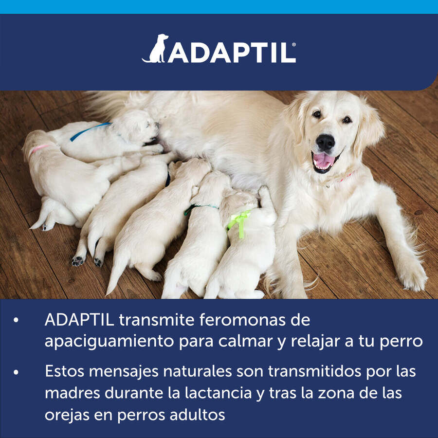 Adaptil Difusor + Recambio Tranquilizante para perros, , large indicador imagen numero 3