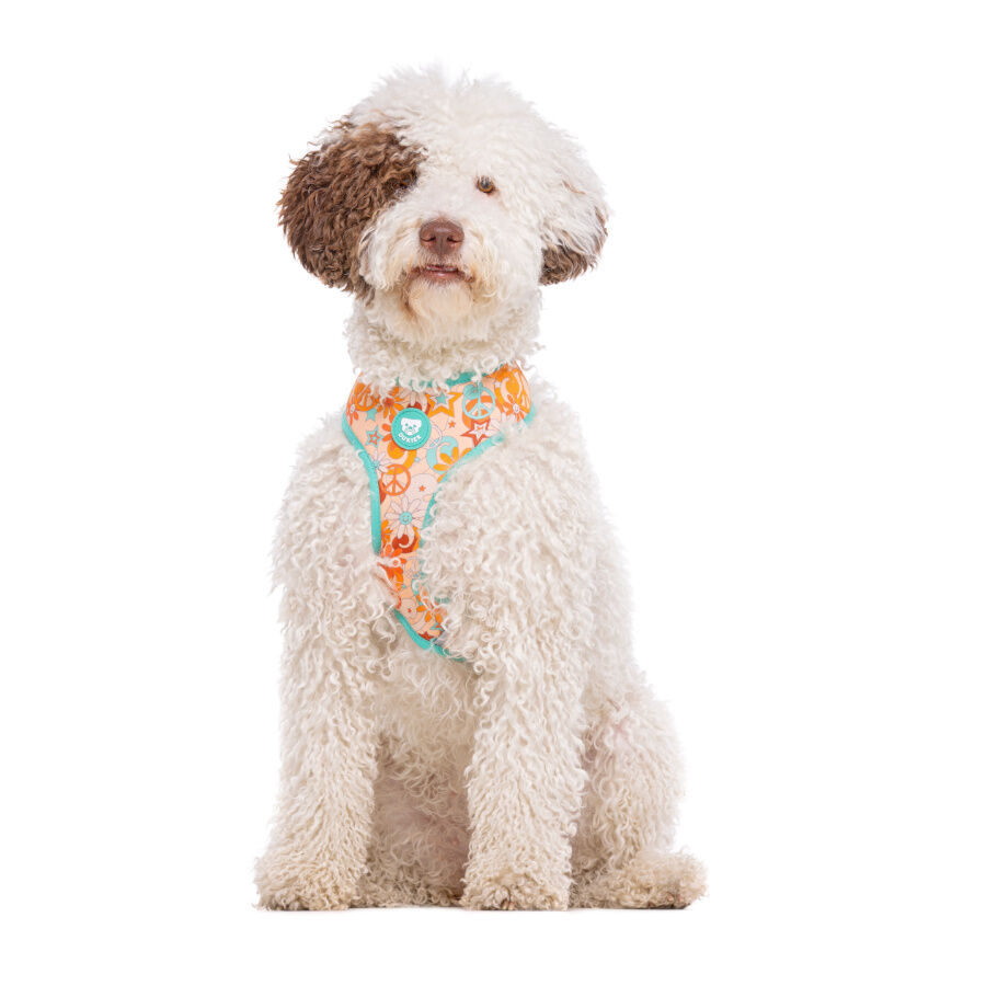 Dukier Peace Arn&eacute;s Reversible para perros, , large indicador imagen numero 3