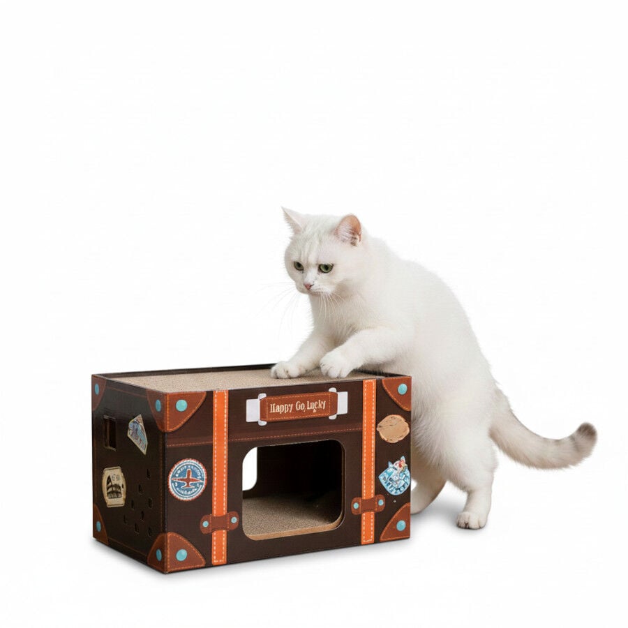 All For Paws Vintage Rascador Lucky Scrat para gatos