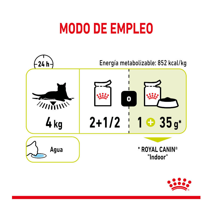 85 g Royal Canin Adult Sensory Smell salsa sobre para gatos, , large indicador imagen numero 6