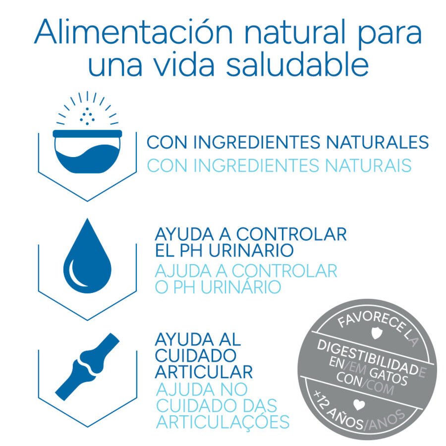 2 kg Criadores Cient&iacute;fico Senior +12 Pescado pienso para gatos, , large indicador imagen numero 6