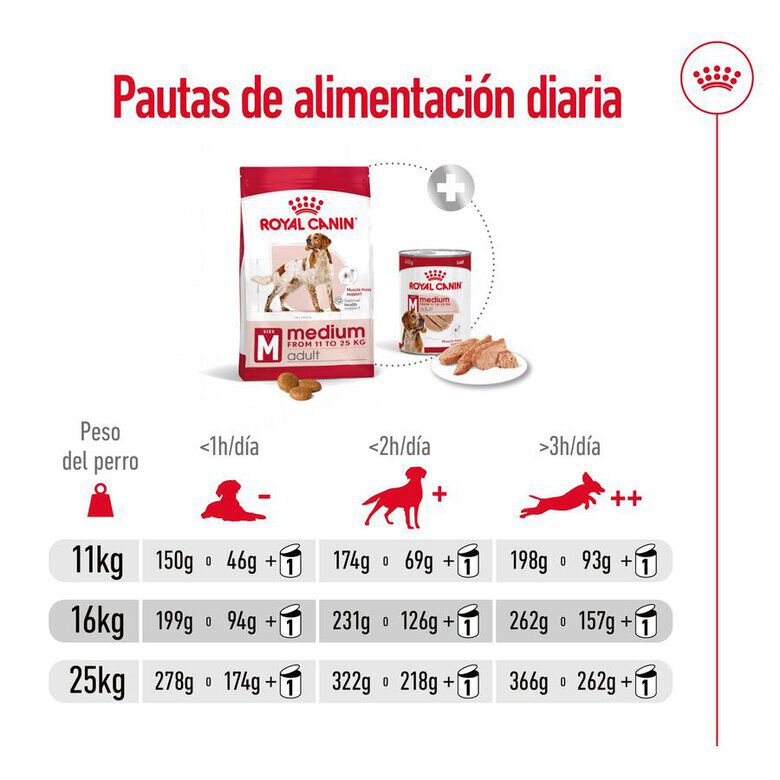 18 kg (15 + 3 kg &iexcl;gratis!) Royal Canin Medium Adult pienso para perros, , large indicador imagen numero 11
