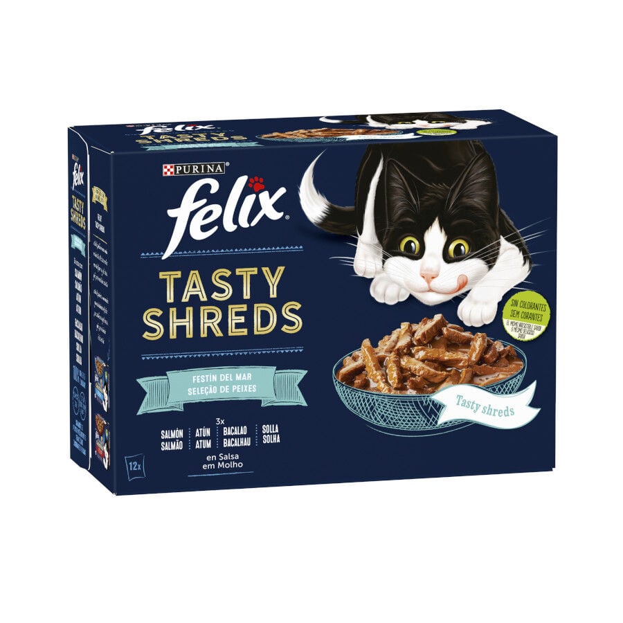 Felix Tasty Shreds Fest&iacute;n del Mar Filetes en Salsa sobre para gatos