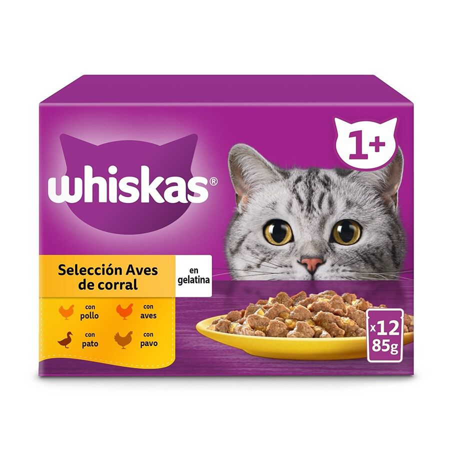 12 sobres x 85 g Whiskas Selecci&oacute;n Aves Gelatina en Bolsita para Gatos Adultos, , large indicador imagen numero 2