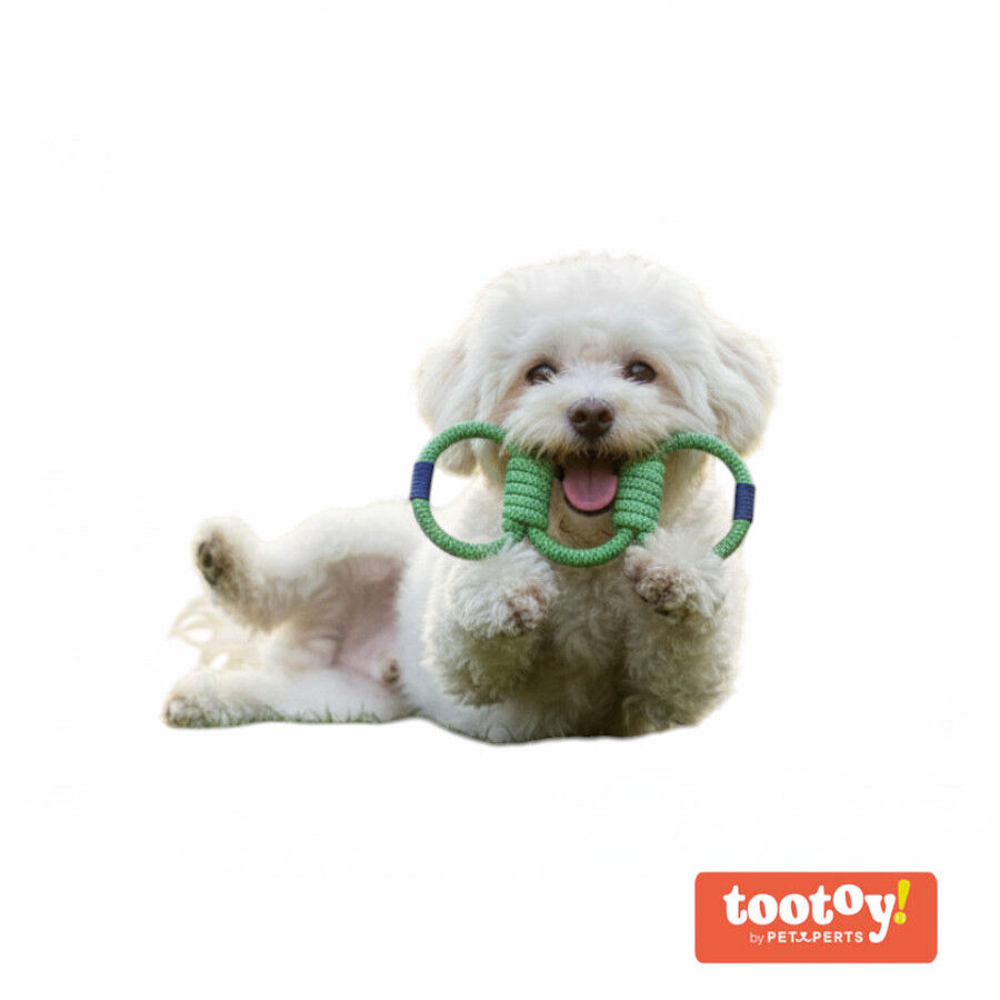 Tootoy! Mordedor de Cuerda Triple para perros