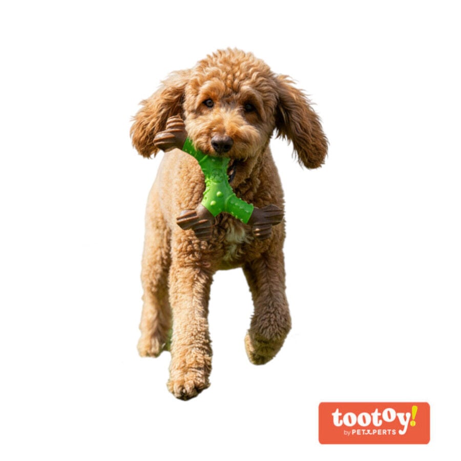 Tootoy! Hueso Mordedor Dental para perros
