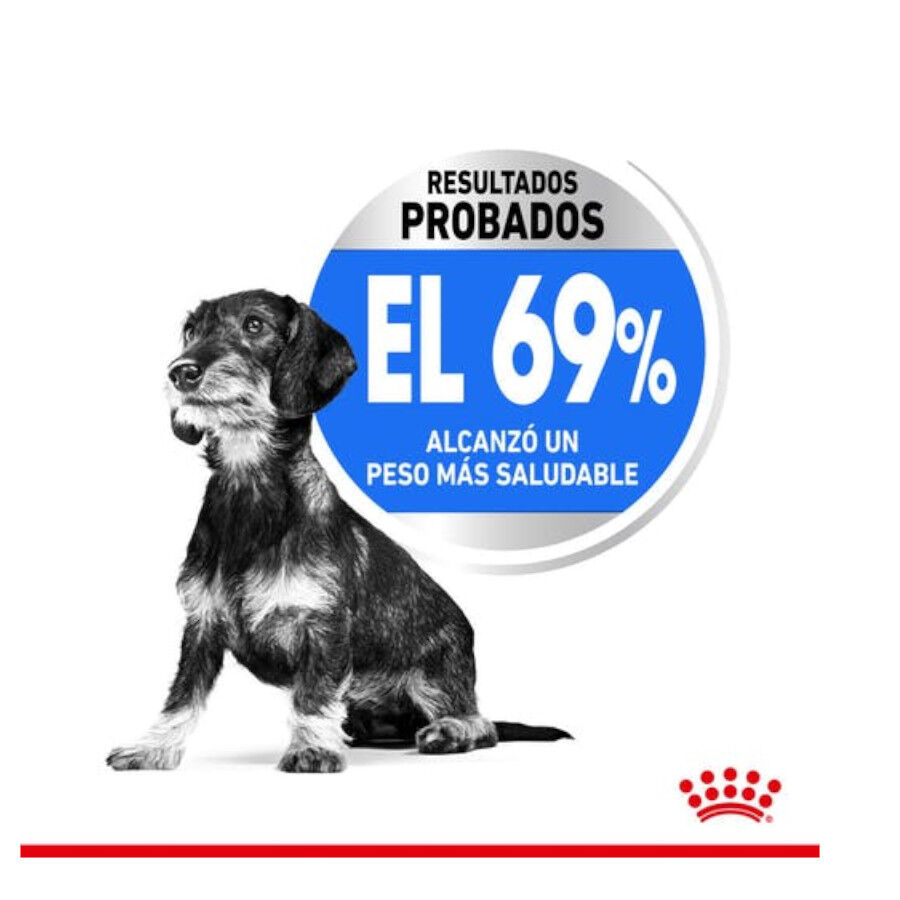 1.5 kg Royal Canin Light Weight Care X-Small pienso para perros, , large Imagen numero 5