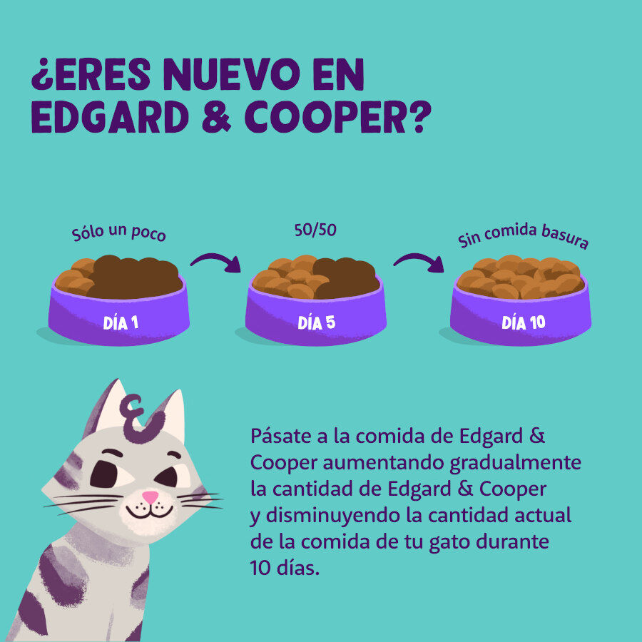 85 g Edgard & Cooper Kitten Pato y Pollo en Pat&eacute; tarrina para gatos&nbsp;, , large indicador imagen numero 5