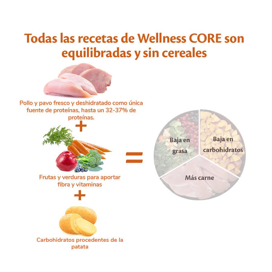 5 kg Wellness Core Adult Small Original Pavo y Pollo pienso para perros, , large Imagen numero 4