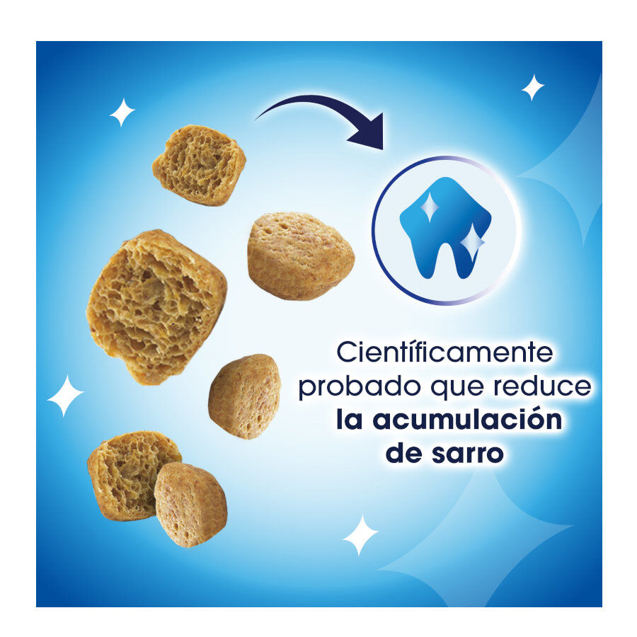 40 g Dentalife Daily Oral Salm&oacute;n Snacks Dentales para gatos, , large indicador imagen numero 3