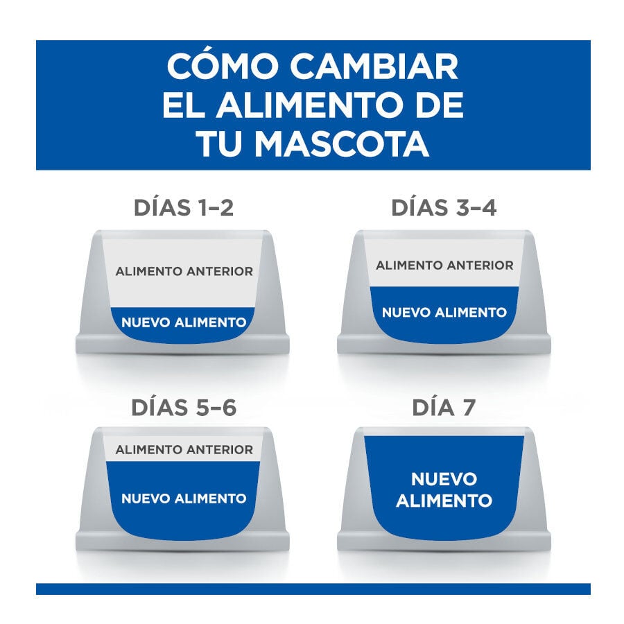 12 sobres x 85 g Hill's Science Plan Kitten Pollo y Pescado sobre para gatos , , large indicador imagen numero 6