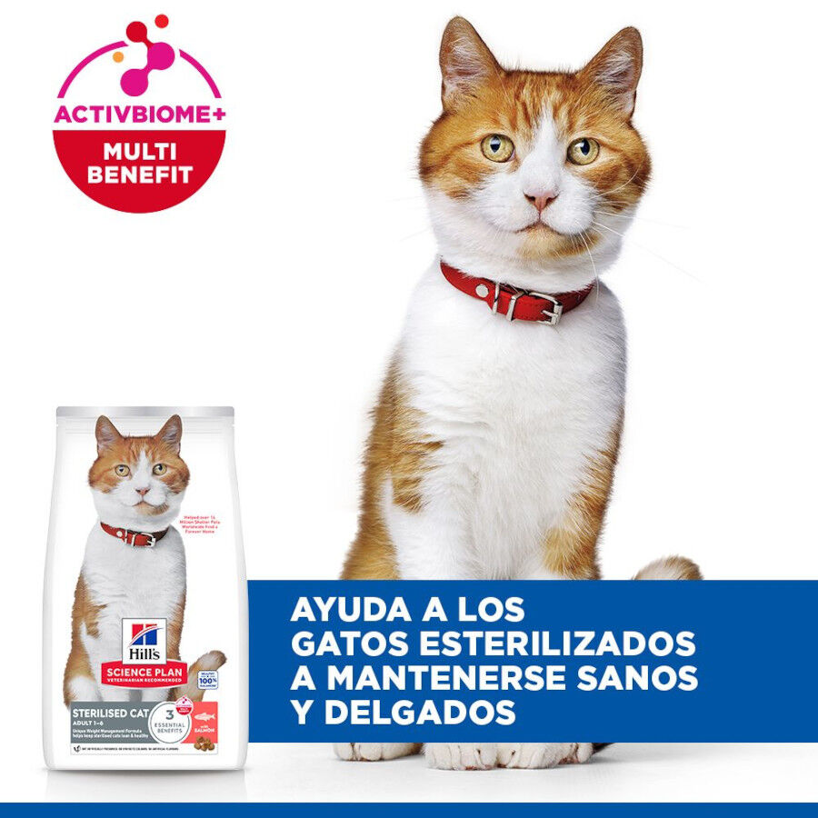 7 kg Hill's Science Plan Sterilised Adult Salm&oacute;n pienso para gatos, , large indicador imagen numero 4