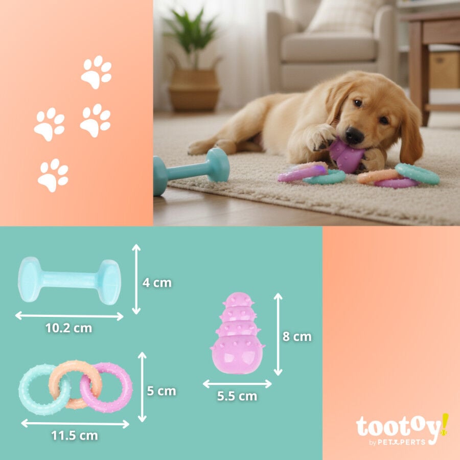 Tootoy! Pack de Mordedores para cachorros, , large indicador imagen numero 4