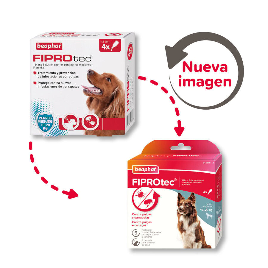 Beaphar FiproTec Pipetas para perros, , large Imagen numero 2