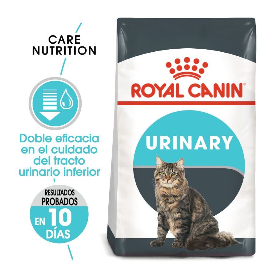10 kg Royal Canin Urinary pienso para gatos, , large Imagen numero 2