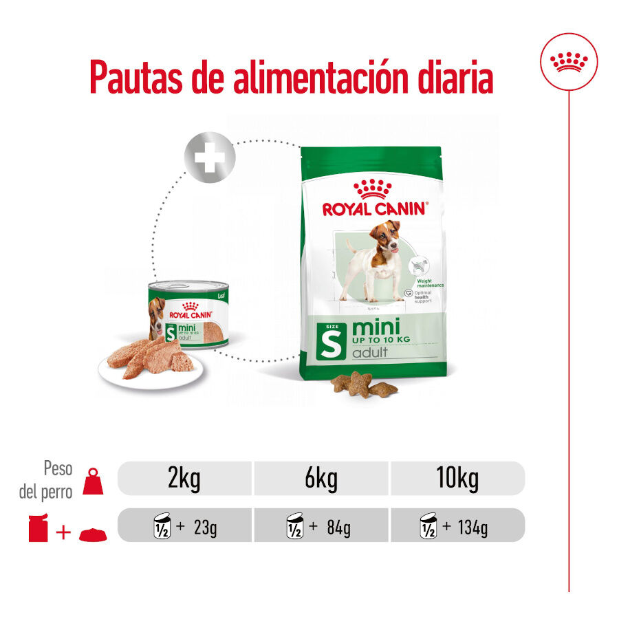 195 g Royal Canin Mini Adult Pat&eacute; lata para perros, , large indicador imagen numero 7