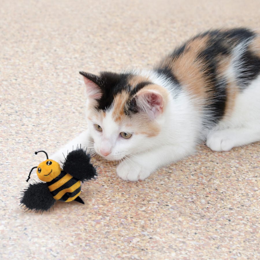 Kong Better Buzz Abeja de peluche para gatos, , large indicador imagen numero 2