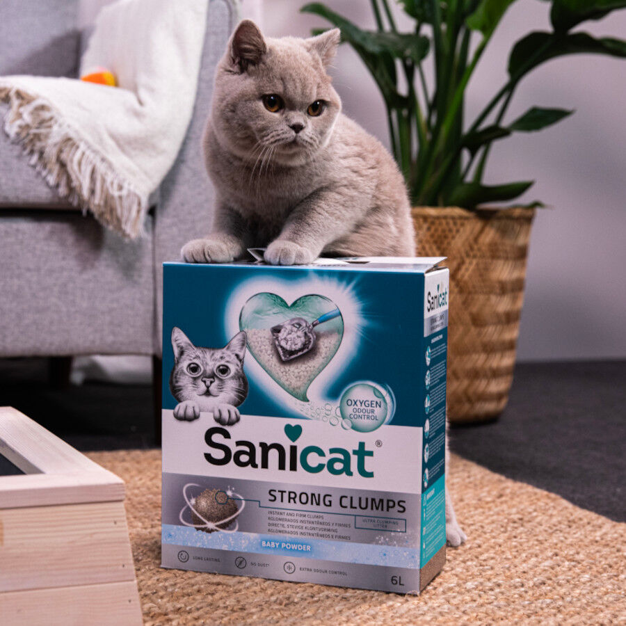 10 L Sanicat Strong Clumps Arena Aglomerante perfumada para gatos, , large indicador imagen numero 3