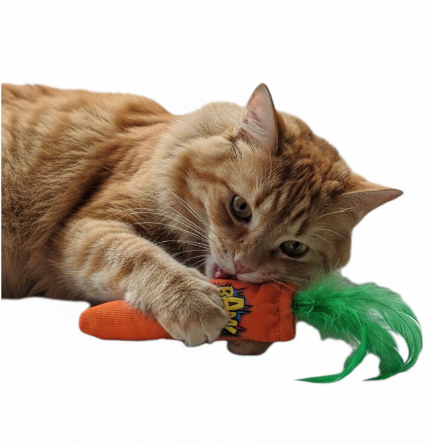 BAM! Peluche Zanahoria con Catnip para gatos
