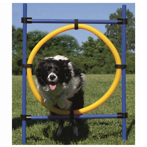 Ribecan aro de salto agility para perros Imagen numero 1