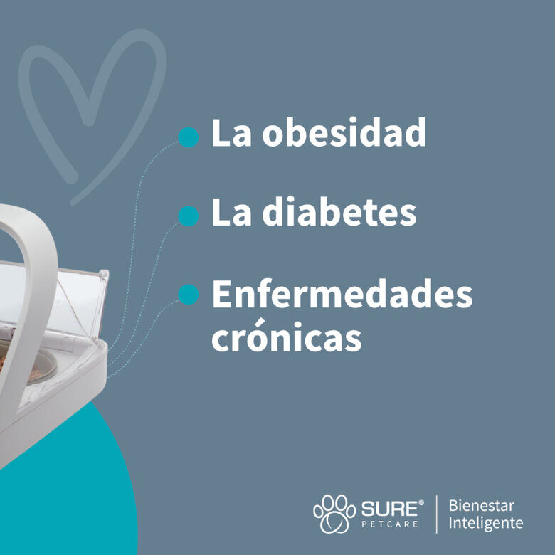 Sure Petcare Surefeed Comedero Autom&aacute;tico con Microchip, , large Imagen numero 10
