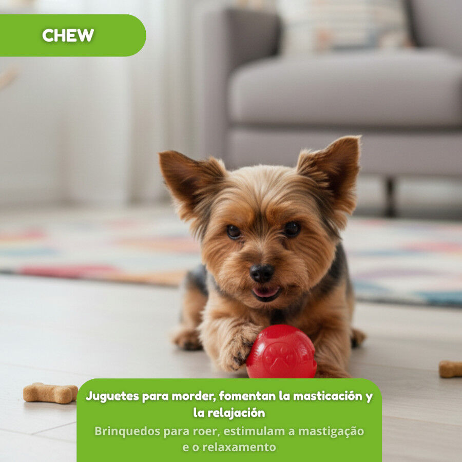 Tootoy! Pelota Toughie Rubber de Goma Roja para perros, , large indicador imagen numero 7