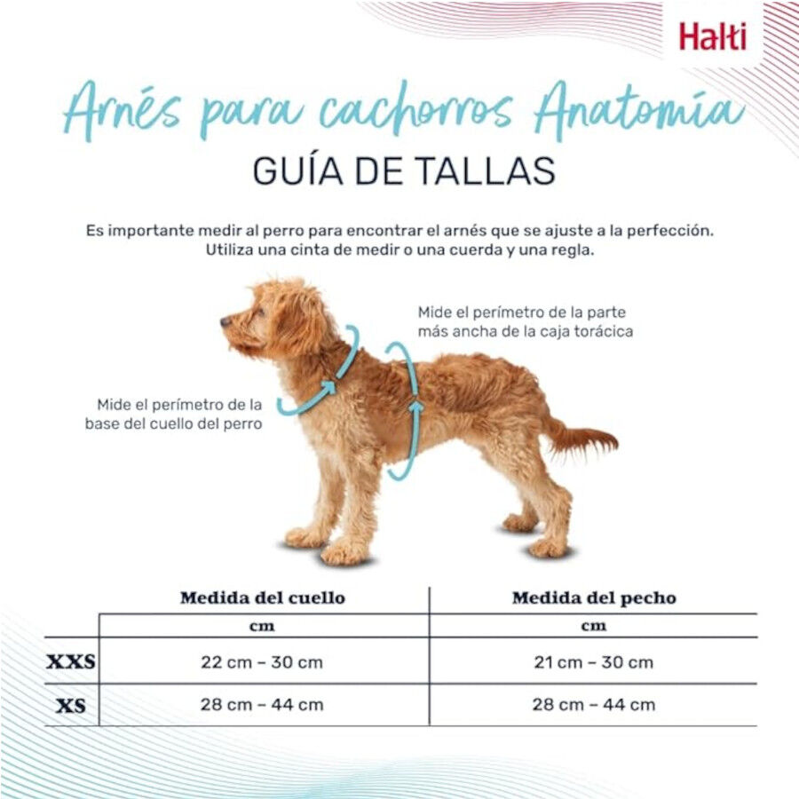 Halti arn&eacute;s anat&oacute;mico para cachorros y perros peque&ntilde;os, , large indicador imagen numero 2