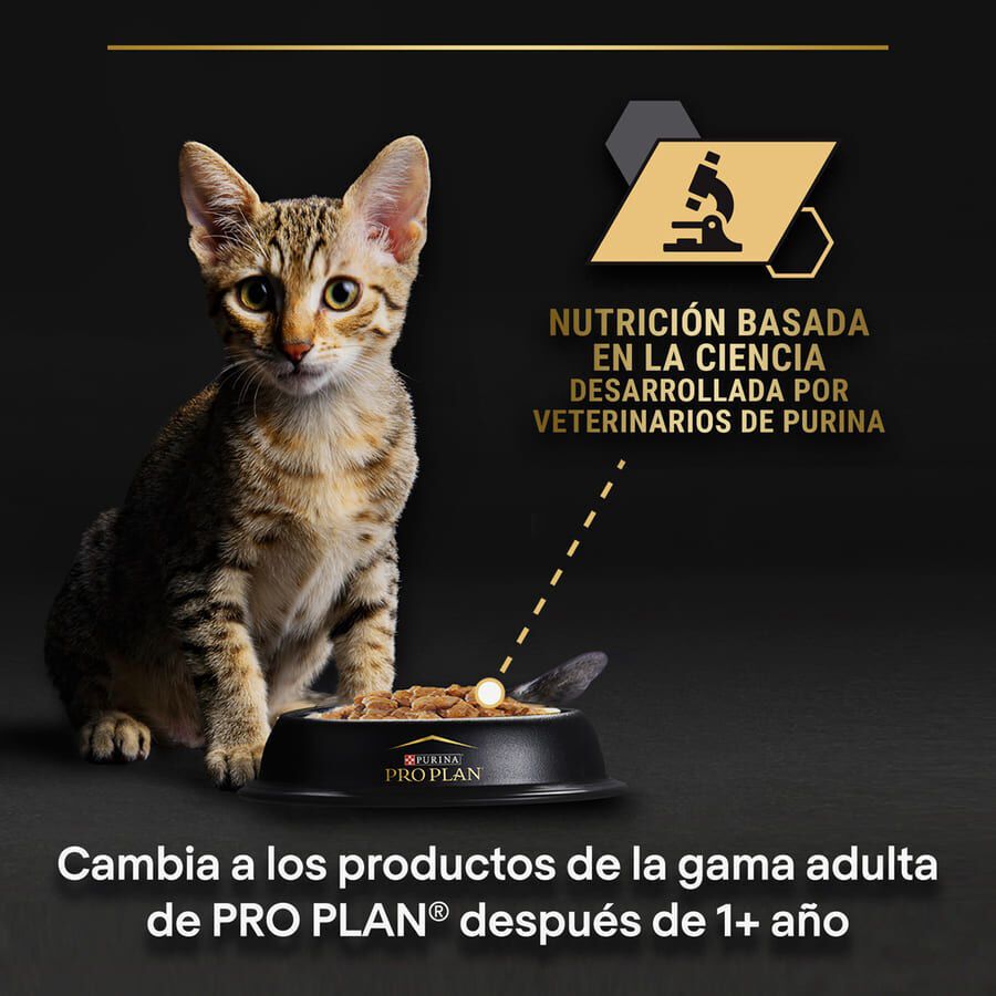 85 g Pro Plan NutriSavour Feline Kitten Pavo en salsa sobre para gatos&nbsp;, , large indicador imagen numero 8