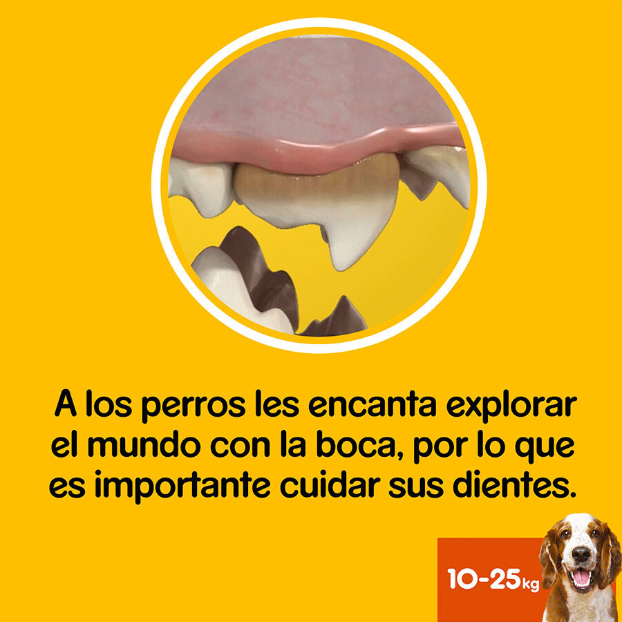 105 barritas Pedigree Dentastix Snacks Dentales para perros medianos, , large indicador imagen numero 5