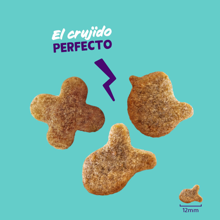 50 g Edgard & Cooper Galletas Crunchies Pollo para gatos, , large indicador imagen numero 3