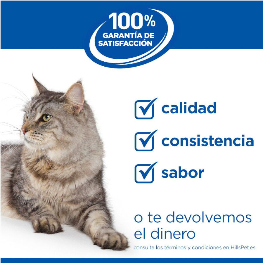 7 kg Hill's Science Plan Perfect Weight Adult pollo pienso para gatos, , large indicador imagen numero 8