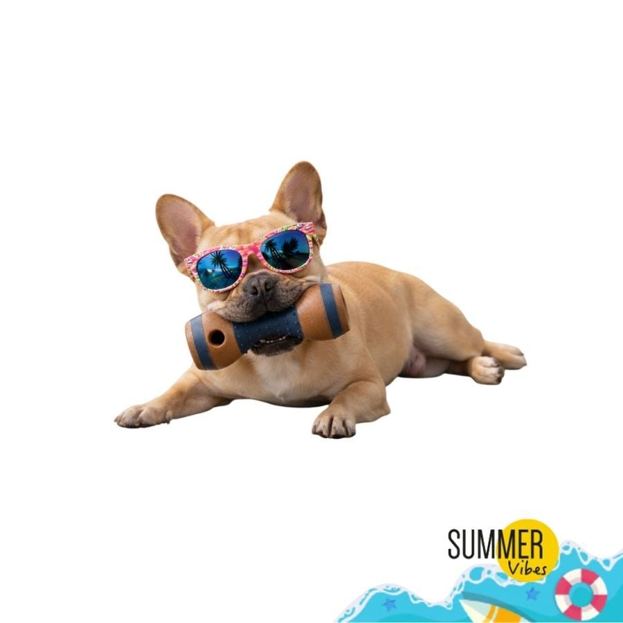 Summer Vibes Mordedor Pesa Juguete para perros, , large Imagen numero 8