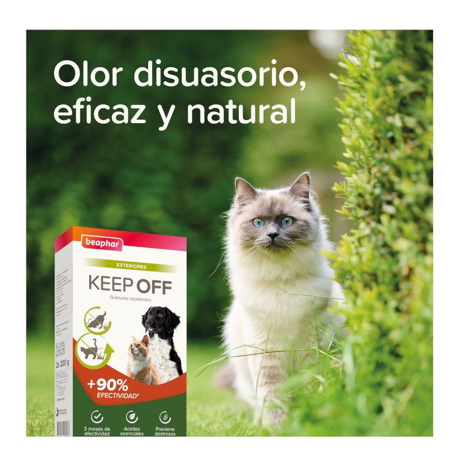 Beaphar Repelente en gr&aacute;nulos para exterior para perros y gatos, , large indicador imagen numero 8