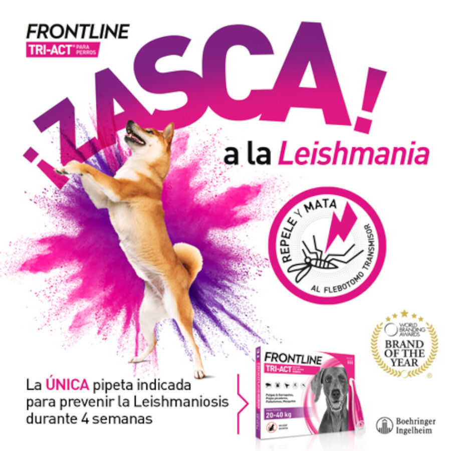 Frontline Tri-Act Pipetas Antiparasitarias para perros, , large Imagen numero 6