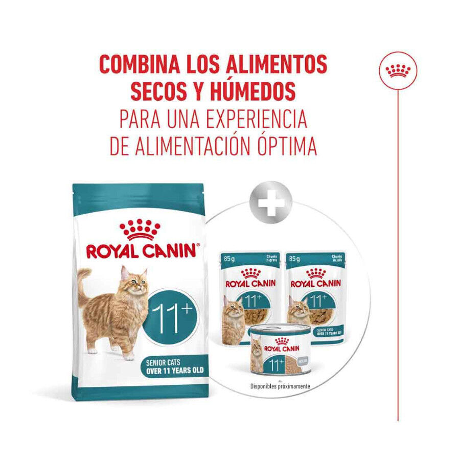 4 kg Royal Canin Ageing 11+ pienso para gatos&nbsp;senior, , large indicador imagen numero 12