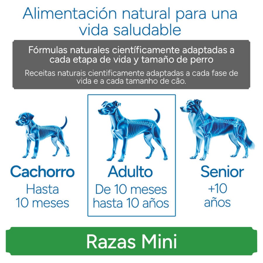 3 kg Criadores Cient&iacute;fico Adulto Mini Pienso Pollo para perros, , large Imagen numero 11