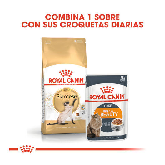 10 kg Royal Canin Adult Siamese pienso para gatos, , large Imagen numero 3