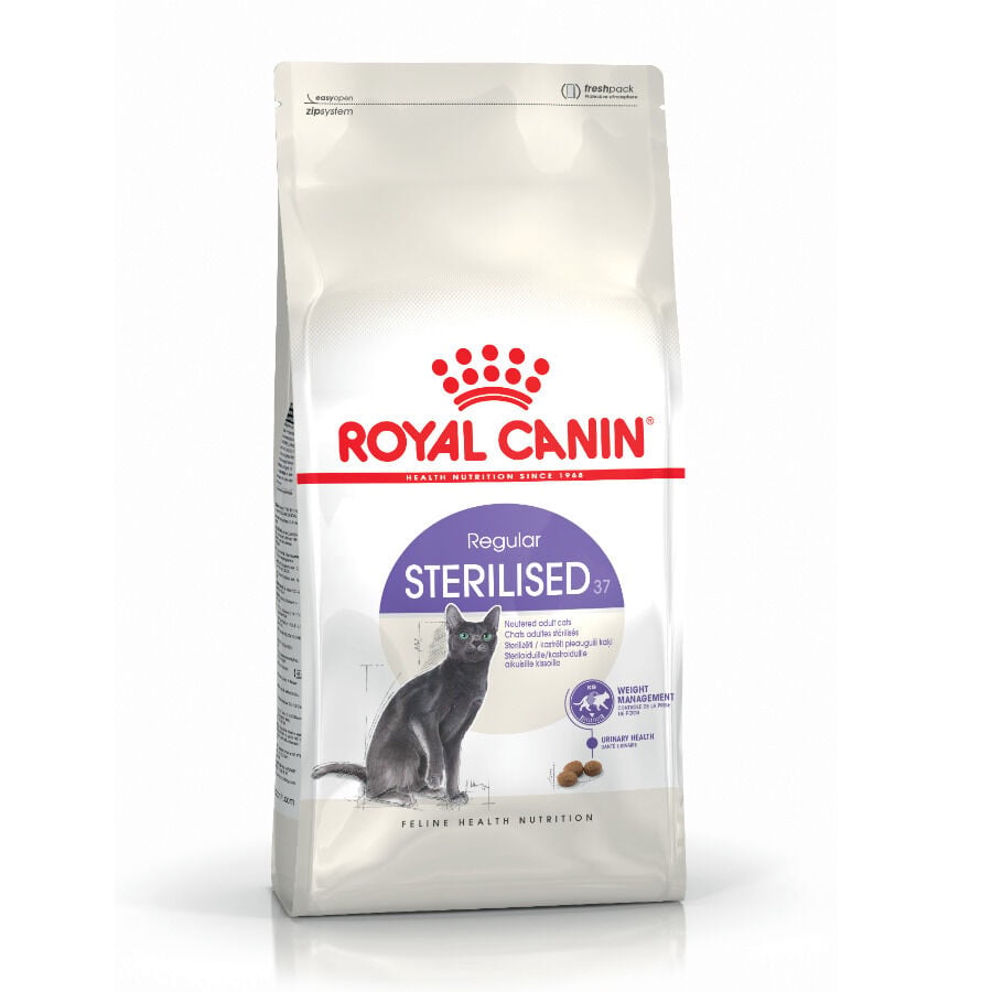 10 kg Royal Canin Regular Sterilised 37 pienso para gatos, , large Imagen numero 1