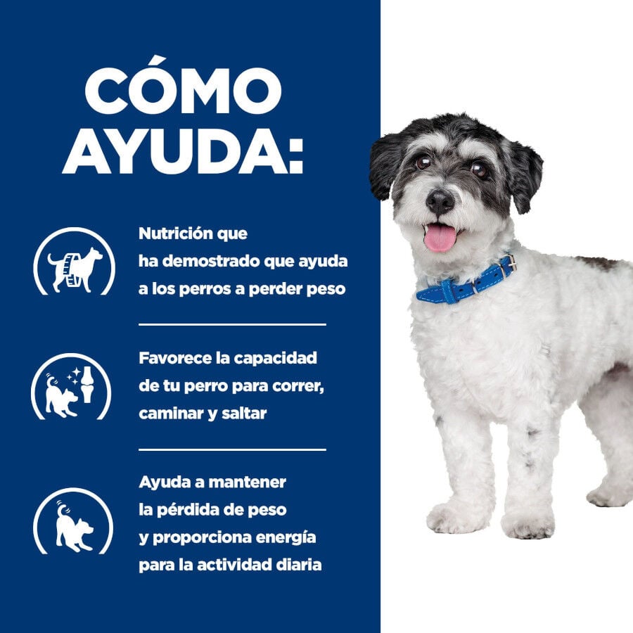 6 kg Hill's Prescription Diet Metabolic + Mobility Mini j/d pienso para perros, , large indicador imagen numero 4
