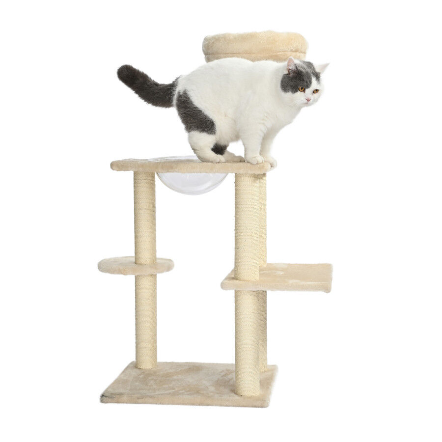 Leeby Luna &aacute;rbol rascador con cama y juguete para gatos, , large Imagen numero 6