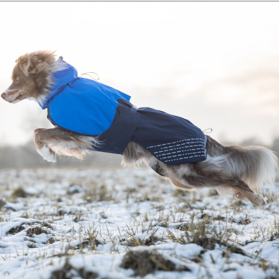 Non-stop dogwear Fjord Chubasquero Impermeable Azul para perros, , large indicador imagen numero 3