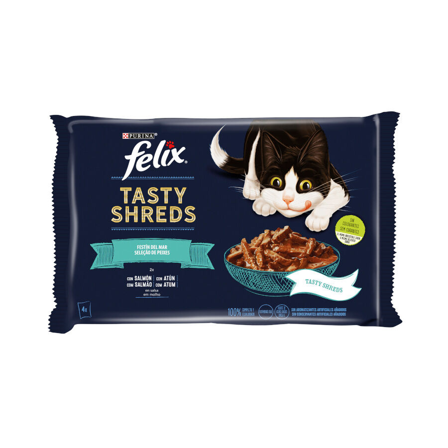 Felix Tasty Shreds Fest&iacute;n del Mar Filetes en Salsa sobre para gatos