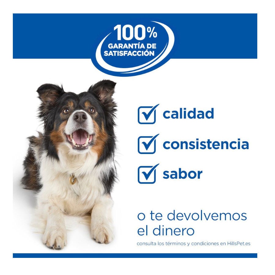14 kg Hill's Science Plan Youthful vitality Large pienso para perros, , large indicador imagen numero 7