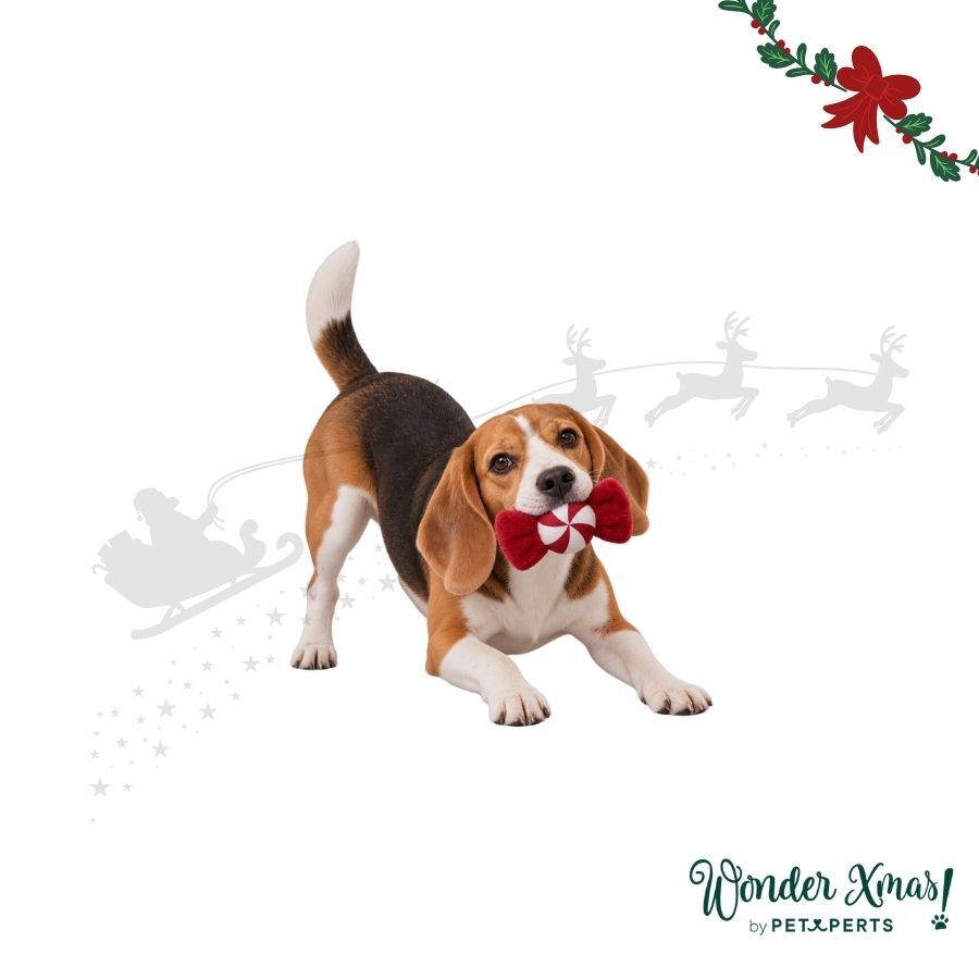 Wonder Christmas Caramelo Juguete para perros, , large indicador imagen numero 1